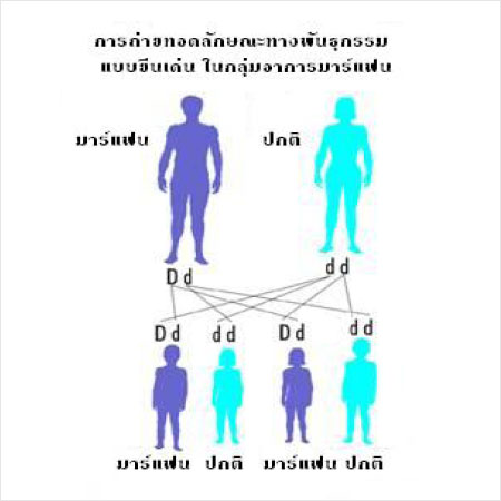 ҡΌ·ʹҧ