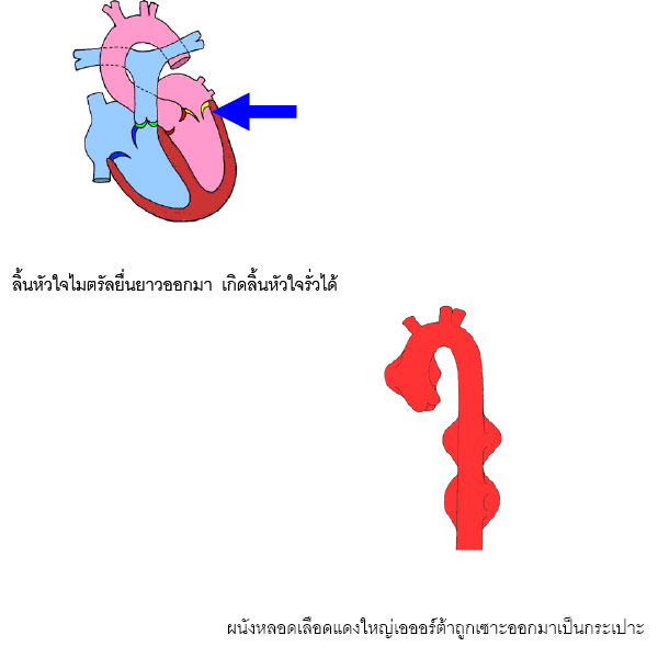 ҡüԴԷҧкʹʹ